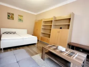 Pronájem bytu 2+kk, České Budějovice, Čechova, 55 m2