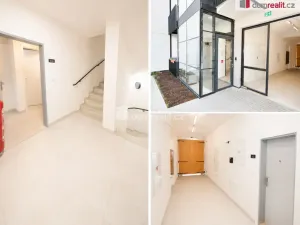 Pronájem bytu 2+kk, Praha - Břevnov, Bělohorská, 60 m2