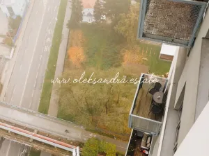 Pronájem bytu 1+kk, Praha - Vysočany, Freyova, 32 m2