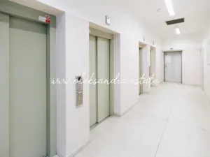 Pronájem bytu 1+kk, Praha - Vysočany, Freyova, 32 m2