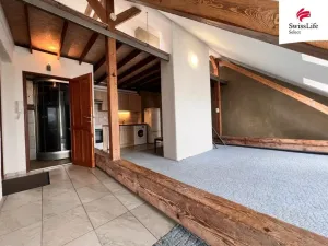 Pronájem bytu 1+kk, Plzeň, Husova, 55 m2