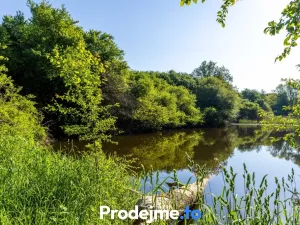 Prodej pozemku pro bydlení, Písečné - Marketa, 23167 m2