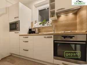 Pronájem bytu 1+1, Plzeň, Arbesova, 36 m2