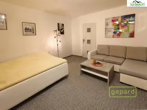 Pronájem bytu 1+1, Plzeň, Arbesova, 36 m2