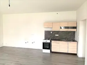 Pronájem bytu 2+kk, Plzeň - Malesice, Malesická náves, 56 m2
