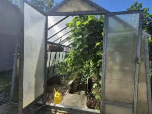 Pronájem zahrady, Planá, 400 m2