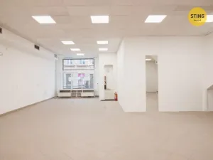 Pronájem obchodního prostoru, Jihlava, Palackého, 118 m2