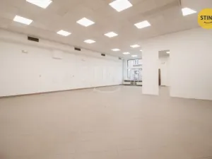 Pronájem obchodního prostoru, Jihlava, Palackého, 118 m2