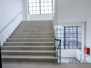 Pronájem bytu 2+kk, Třebíč, Tomáše Bati, 55 m2