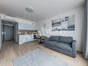 Pronájem bytu 1+kk, Praha - Karlín, Sokolovská, 28 m2