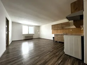 Pronájem bytu 2+kk, Mělník, Řípská, 51 m2