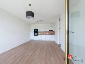 Pronájem bytu 2+kk, Plzeň - Východní Předměstí, Zahradní, 69 m2
