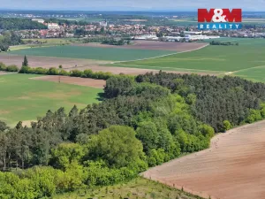 Prodej lesa, Lysá nad Labem, 5227 m2