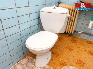 Prodej chalupy, Holčovice - Jelení, 224 m2
