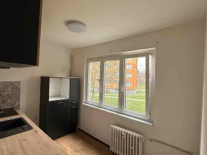 Pronájem bytu 2+1, Bílina, M. Švabinského, 53 m2