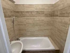 Pronájem bytu 2+1, Bílina, M. Švabinského, 53 m2