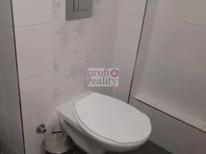 Pronájem bytu 1+1, Zlín, Díly I, 33 m2