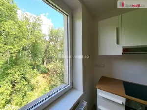 Pronájem bytu 1+1, Ústí nad Labem - Ústí nad Labem-centrum, Masarykova, 40 m2