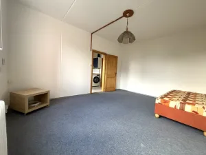 Pronájem bytu 1+1, Plzeň - Lobzy, Těšínská, 37 m2