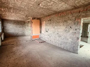 Prodej rodinného domu, Vědomice, Dlouhá, 352 m2