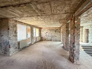 Prodej rodinného domu, Vědomice, Dlouhá, 352 m2