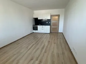 Pronájem bytu 1+kk, Ostrava, Sládkova, 28 m2