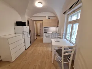 Pronájem bytu 1+kk, Olomouc, 1. máje, 30 m2
