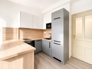 Pronájem bytu 2+kk, Praha - Vinohrady, Mánesova, 53 m2