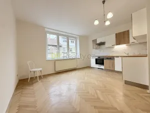 Pronájem bytu 2+kk, Brno, Tyršova, 55 m2