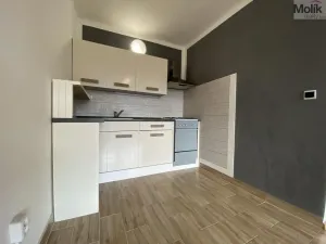 Pronájem bytu 2+kk, Most, Jaroslava Haška, 40 m2
