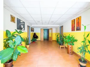 Prodej bytu 2+kk, České Budějovice, K. Chocholy, 48 m2
