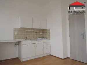 Pronájem bytu 1+kk, Praha - Žižkov, Bořivojova, 18 m2