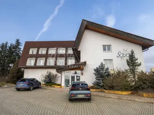 Prodej komerční nemovitosti, Praha - Petrovice, Novopetrovická, 1433 m2