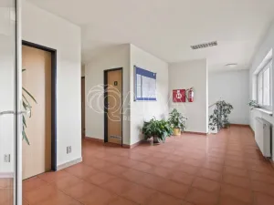 Prodej pozemku pro bydlení, Praha - Petrovice, Novopetrovická, 4543 m2