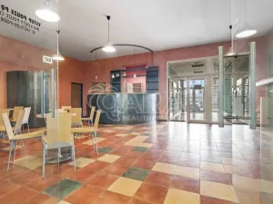 Prodej pozemku pro bydlení, Praha - Petrovice, Novopetrovická, 4543 m2
