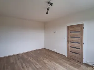 Pronájem bytu 1+1, Ústí nad Labem, Kmochova, 32 m2