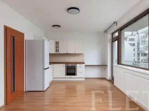 Pronájem bytu 1+kk, Praha - Holešovice, U měšťanského pivovaru, 37 m2