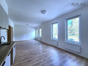 Pronájem bytu 1+kk, Benešov, 102. pluku, 42 m2
