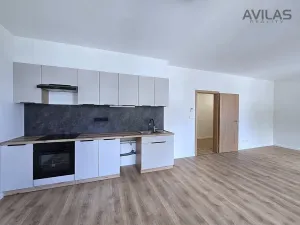 Pronájem bytu 1+kk, Benešov, 102. pluku, 42 m2