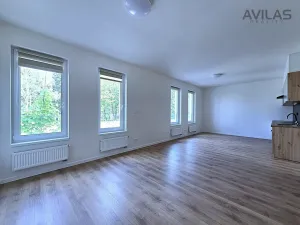 Pronájem bytu 1+kk, Benešov, 102. pluku, 42 m2