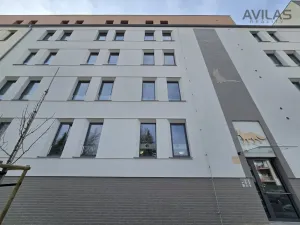 Pronájem bytu 1+kk, Benešov, 102. pluku, 42 m2