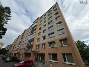 Prodej bytu 3+1, Most, Jana Kubelíka, 55 m2