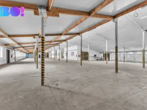 Pronájem výrobních prostor, Morašice, 2657 m2