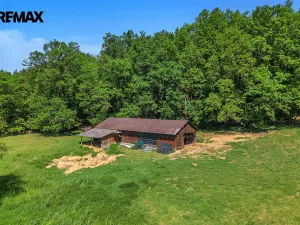 Prodej rodinného domu, Nová Ves, 375 m2