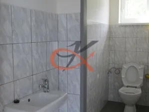 Pronájem skladu, Valašské Meziříčí, M. Alše, 180 m2