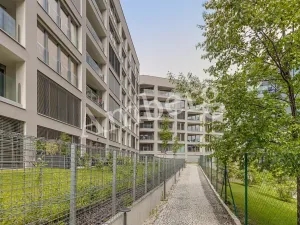 Pronájem bytu 2+kk, Praha - Karlín, Breitfeldova, 40 m2
