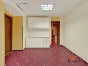 Prodej historického objektu, Litoměřice - Litoměřice-Město, Novobranská, 499 m2