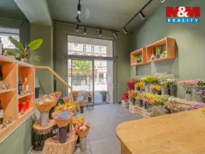 Pronájem obchodního prostoru, Plzeň - Jižní Předměstí, Americká, 145 m2