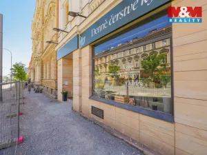 Pronájem obchodního prostoru, Plzeň - Jižní Předměstí, Americká, 145 m2