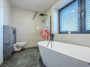 Pronájem bytu 6+kk a větší, Ostrava, Třebovická, 194 m2